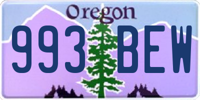 OR license plate 993BEW