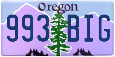 OR license plate 993BIG