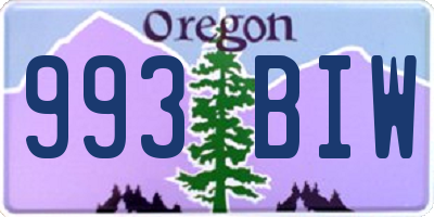 OR license plate 993BIW