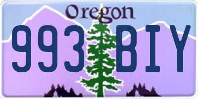 OR license plate 993BIY