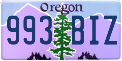 OR license plate 993BIZ