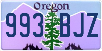 OR license plate 993BJZ