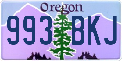 OR license plate 993BKJ