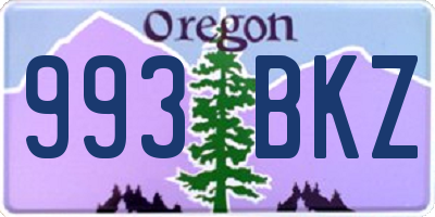 OR license plate 993BKZ