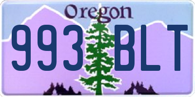 OR license plate 993BLT