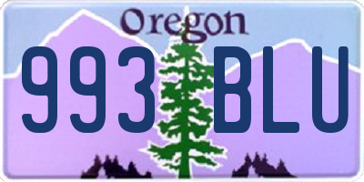 OR license plate 993BLU