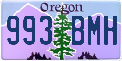 OR license plate 993BMH