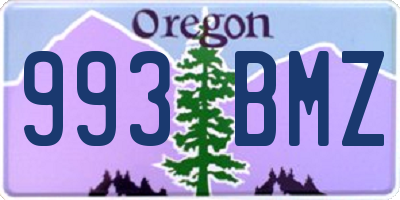 OR license plate 993BMZ