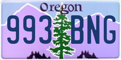 OR license plate 993BNG
