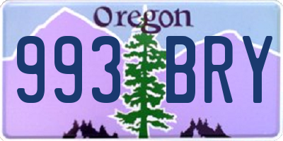 OR license plate 993BRY