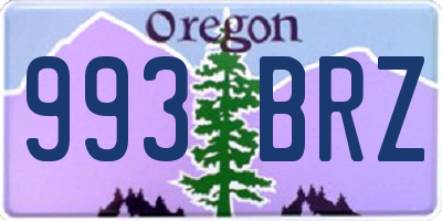 OR license plate 993BRZ