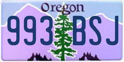 OR license plate 993BSJ