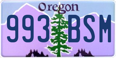 OR license plate 993BSM