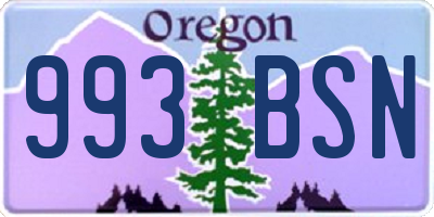 OR license plate 993BSN