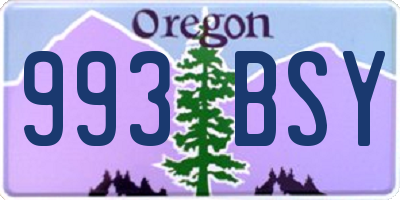 OR license plate 993BSY