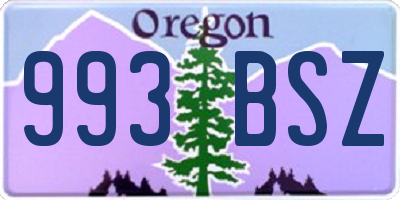 OR license plate 993BSZ