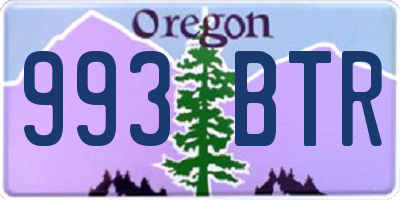 OR license plate 993BTR