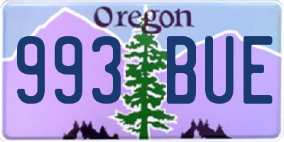 OR license plate 993BUE