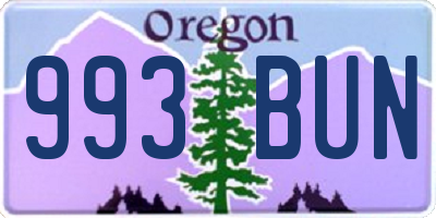 OR license plate 993BUN