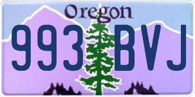 OR license plate 993BVJ