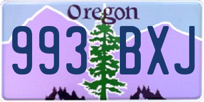 OR license plate 993BXJ
