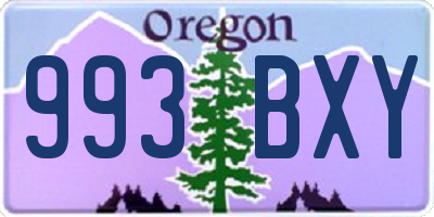 OR license plate 993BXY