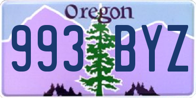 OR license plate 993BYZ