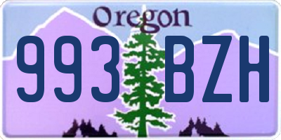 OR license plate 993BZH