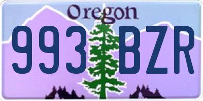 OR license plate 993BZR