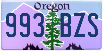 OR license plate 993BZS