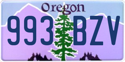 OR license plate 993BZV
