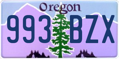 OR license plate 993BZX