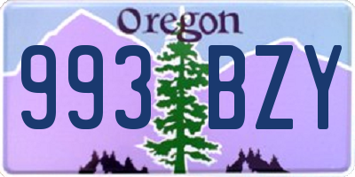 OR license plate 993BZY