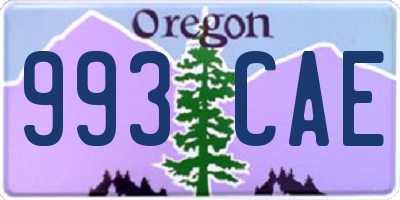 OR license plate 993CAE