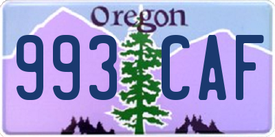 OR license plate 993CAF