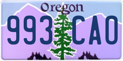 OR license plate 993CAO