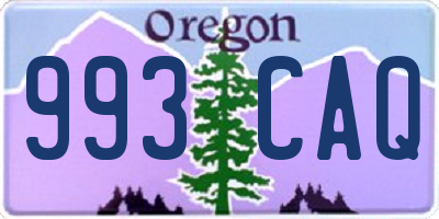 OR license plate 993CAQ