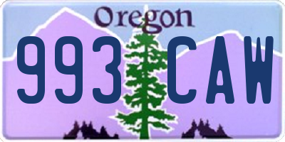 OR license plate 993CAW