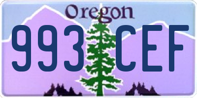 OR license plate 993CEF