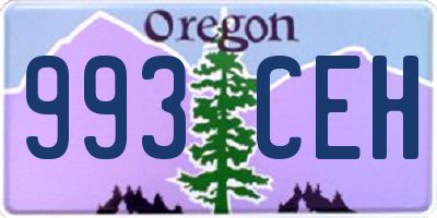 OR license plate 993CEH