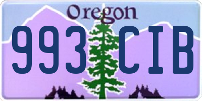 OR license plate 993CIB