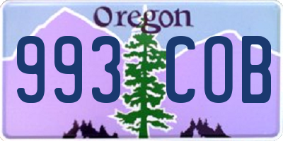 OR license plate 993COB