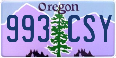 OR license plate 993CSY