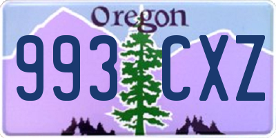 OR license plate 993CXZ
