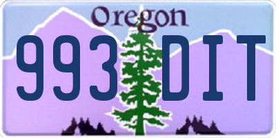 OR license plate 993DIT