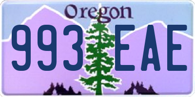 OR license plate 993EAE