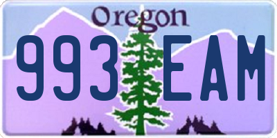 OR license plate 993EAM