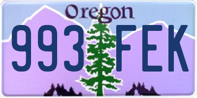 OR license plate 993FEK