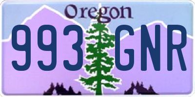 OR license plate 993GNR