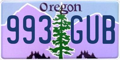 OR license plate 993GUB